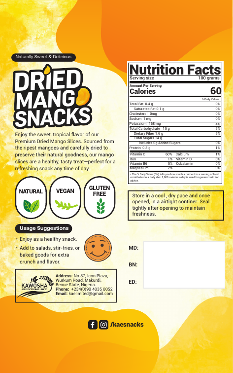 Dried Mango 100g back pack information